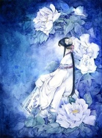 帝龙道
